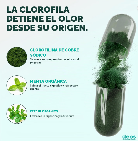 DEOS – SUPLEMENTO PARA LA FRESCURA CORPORAL Y EL ALIENTO | 30 CÁPSULAS